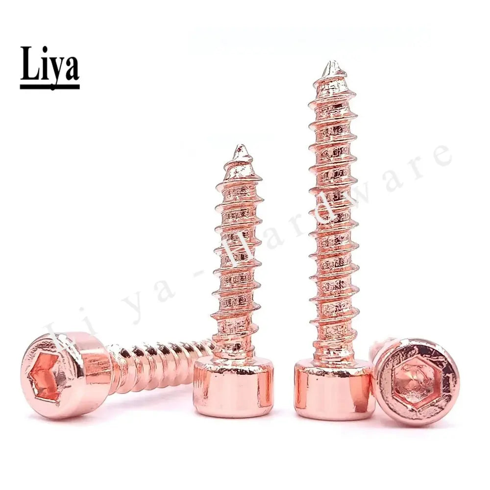 10pcs M3M4M5M6 Stainless Steel 304 cylindrical inner hexagon self-tapping screw speaker speaker screw cup head wood tooth screw