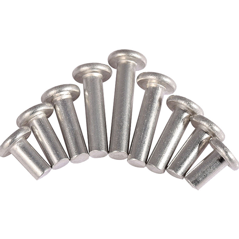 GB109 φ 2/φ 2.5/φ 3 201 Stainless Steel Flat Head Solid Rivet Percussion Type D Nail Flat Round Head Willow Nail for Furniture & Hardware Repair