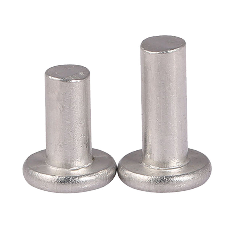 GB109 φ 2/φ 2.5/φ 3 201 Stainless Steel Flat Head Solid Rivet Percussion Type D Nail Flat Round Head Willow Nail  for Furniture & Hardware Repair