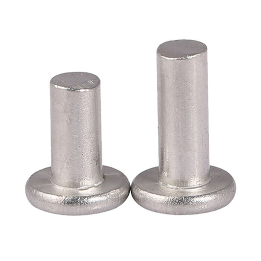 GB109 φ 2/φ 2.5/φ 3 201 Stainless Steel Flat Head Solid Rivet Percussion Type D Nail Flat Round Head Willow Nail  for Furniture & Hardware Repair