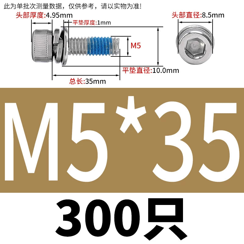 Anti-Loosening Pre-Coated Socket Head Screws with Spring & Flat Washers, 304 SS A2-70