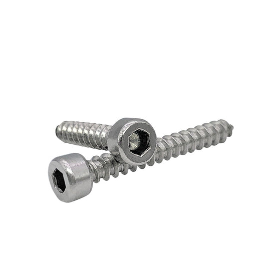 ST2-ST6.3 Socket Head Cap Self-Tapping Screws | 304 Stainless Steel for DIY & Industrial Use